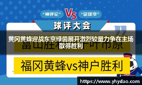 OB电竞官方下载